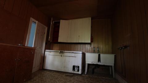 Foxy AF - IMG_0677.JPG