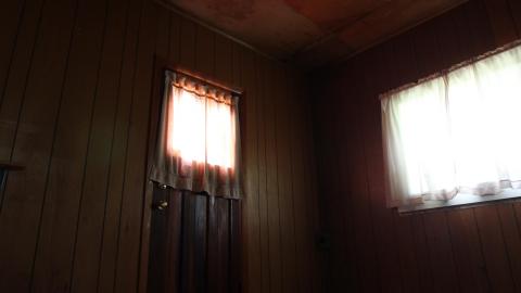 Foxy AF - IMG_0676.JPG