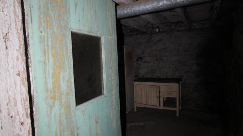 Foxy AF - IMG_0669.JPG