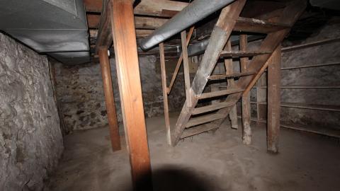 Foxy AF - IMG_0668.JPG