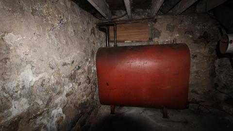 Foxy AF - IMG_0666.JPG