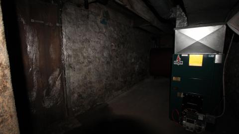 Foxy AF - IMG_0665.JPG