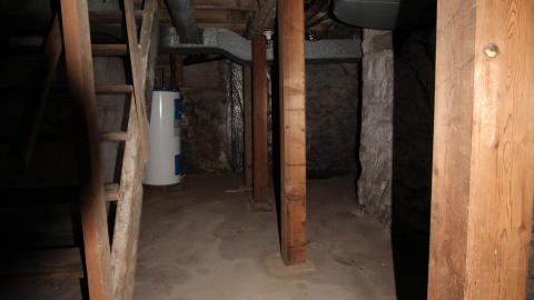 Foxy AF - IMG_0664.JPG