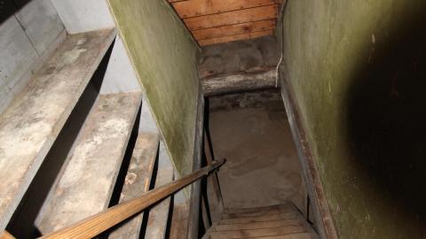 Foxy AF - IMG_0661.JPG