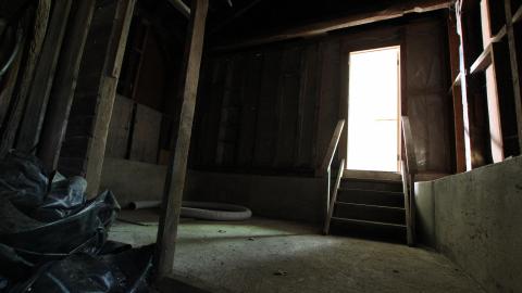 Foxy AF - IMG_0660.JPG