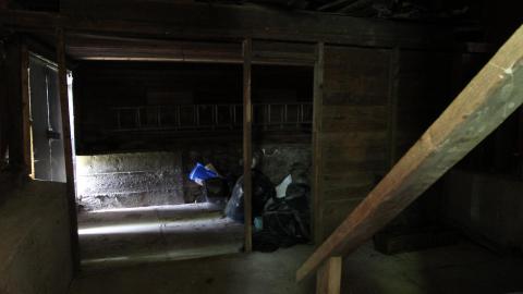 Foxy AF - IMG_0658.JPG