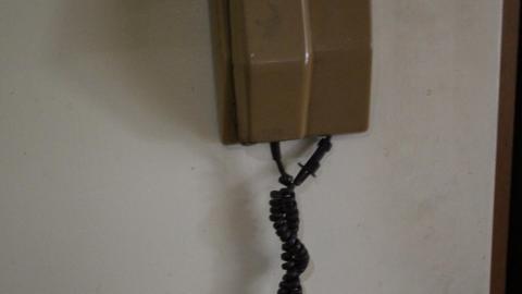 Foxy AF - IMG_0643.JPG