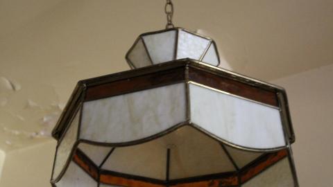 Foxy AF - IMG_0641.JPG