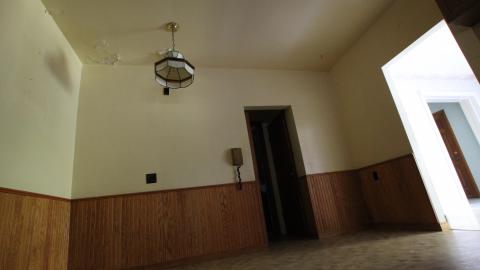 Foxy AF - IMG_0640.JPG