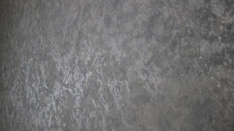 Foxy AF - IMG_0635.JPG