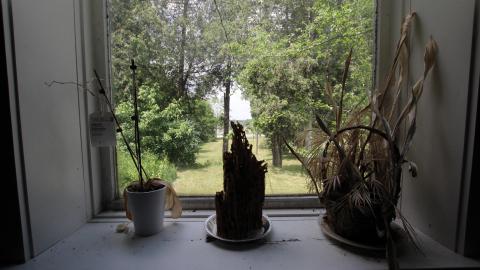 Foxy AF - IMG_0634.JPG