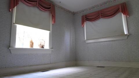 Foxy AF - IMG_0633.JPG