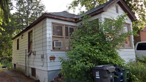 In the Dog House photo 2