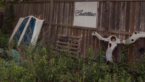 In the Dog House photo 4