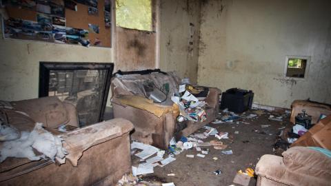 In the Dog House - Toronto, Ontario