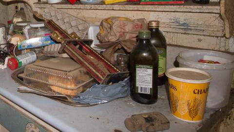 In the Dog House - IMG_0416q.jpg