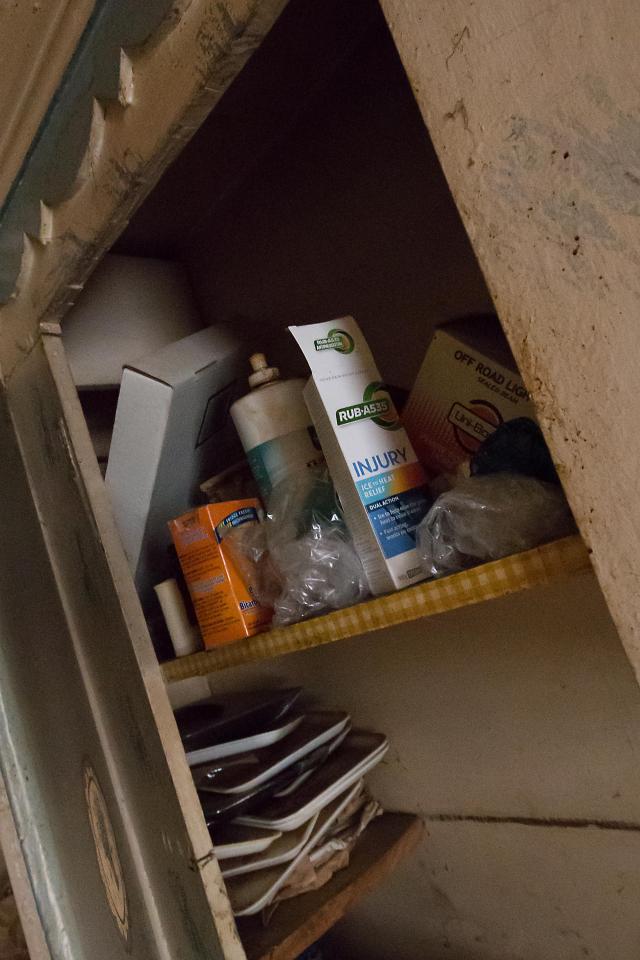 In the Dog House photo 5