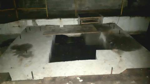 All the animals come to this Harvard - 20210614_182448.jpg