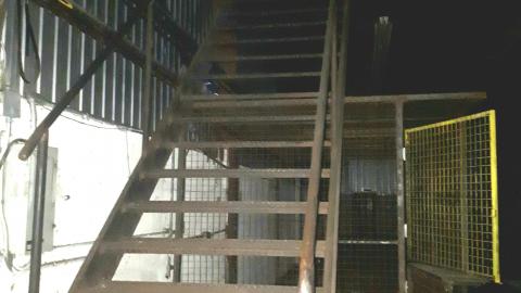 All the animals come to this Harvard - 20210614_182605.jpg