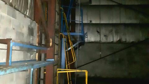 All the animals come to this Harvard - 20210614_182346.jpg