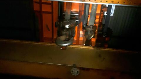 All the animals come to this Harvard - 20210614_182250.jpg