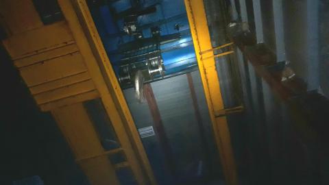 All the animals come to this Harvard - 20210614_182123.jpg