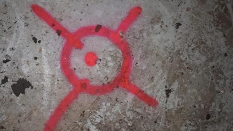 All the animals come to this Harvard - 20210524_160036.jpg