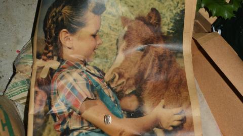 Flooding Basement - September 2014 - 30.jpg