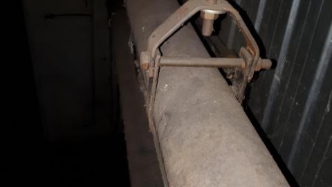 All the animals come to this Harvard - 20210524_160012.jpg