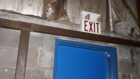 All the animals come to this Harvard - 20210524_154145.jpg