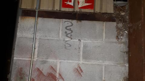 A different kind of Harvard photo 5