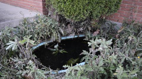 Flooding Basement - September 2014 - 36.jpg