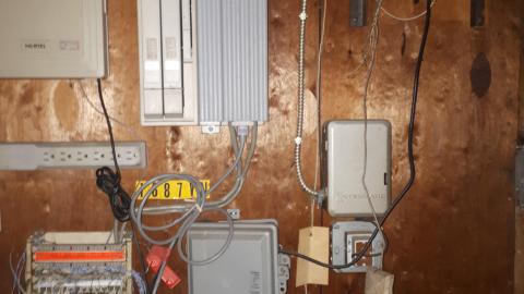 All the animals come to this Harvard - 20210524_151103.jpg