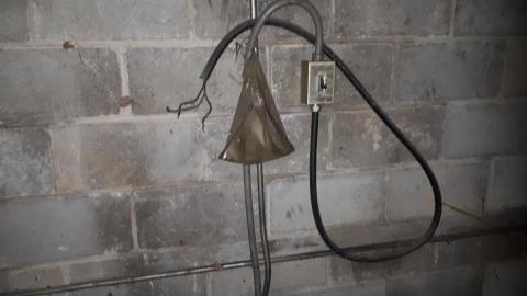 All the animals come to this Harvard - 20210524_150123.jpg