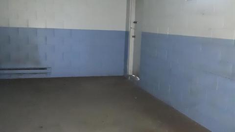 All the animals come to this Harvard - 20210524_145008.jpg