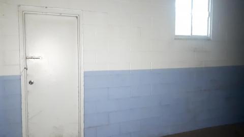 All the animals come to this Harvard - 20210524_144913.jpg