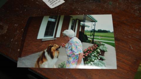 Flooding Basement - September 2014 - 39.jpg