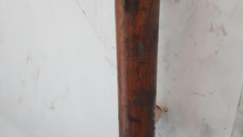 All the animals come to this Harvard - 20210524_144553.jpg