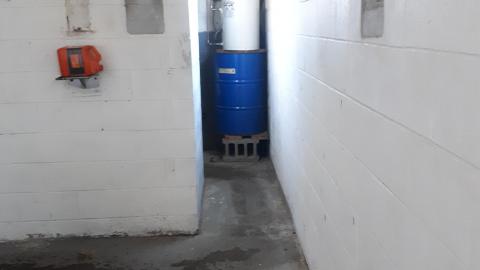 All the animals come to this Harvard - 20210524_144210.jpg