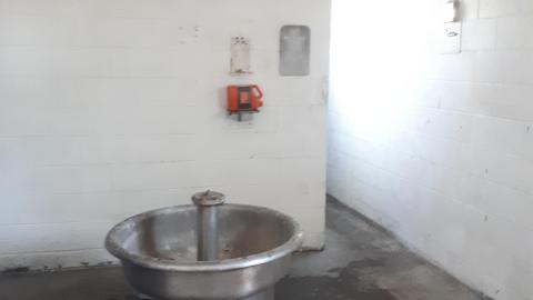 All the animals come to this Harvard - 20210524_144204.jpg