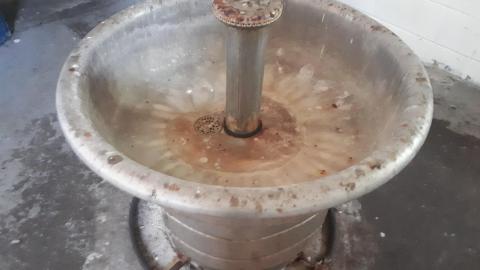 All the animals come to this Harvard - 20210524_144156.jpg