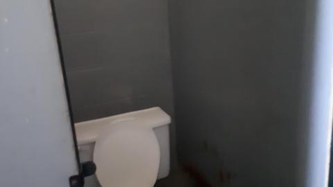 All the animals come to this Harvard - 20210524_144141.jpg