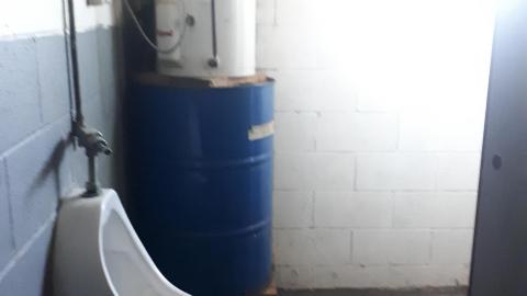 All the animals come to this Harvard - 20210524_144135.jpg