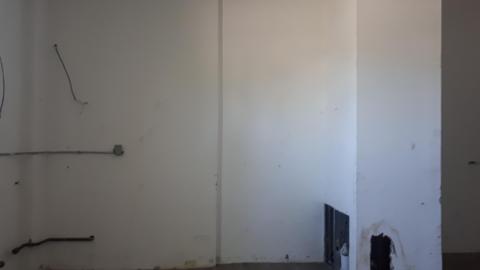 All the animals come to this Harvard - 20210524_143912.jpg