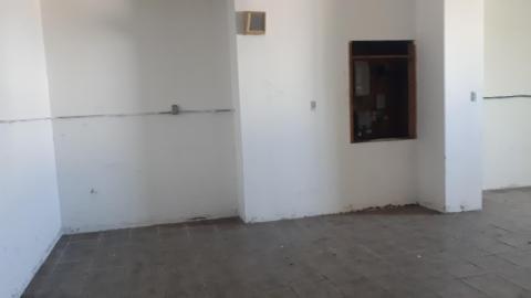 All the animals come to this Harvard - 20210524_143821.jpg