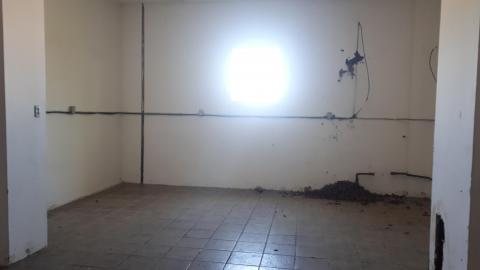 All the animals come to this Harvard - 20210524_143807.jpg