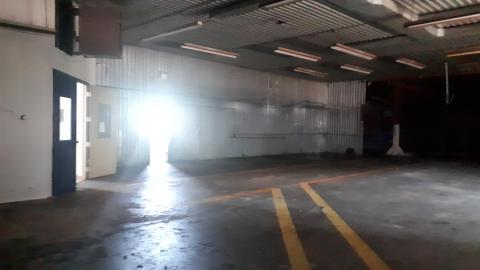 All the animals come to this Harvard - 20210524_143620.jpg