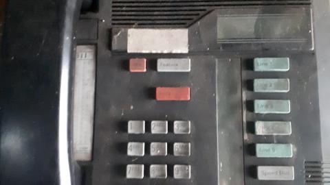 All the animals come to this Harvard - 20210524_143500.jpg