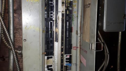 All the animals come to this Harvard - 20210524_143403.jpg