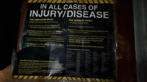 All the animals come to this Harvard - 20210524_143343.jpg